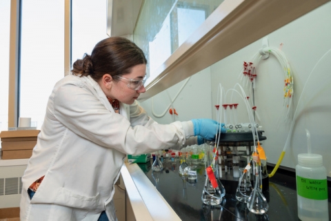 Kylie performing an extraction in water samples